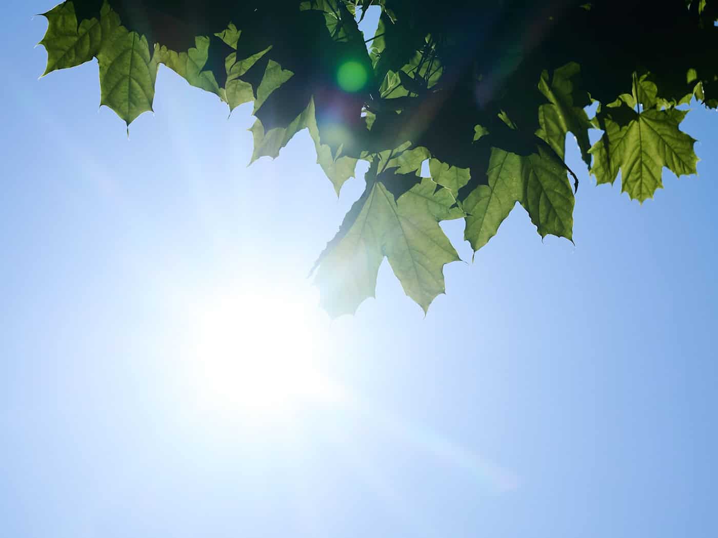 UV-Strahlung in Europa steigt – in Deutschland besonders stark wegen weniger Wolken