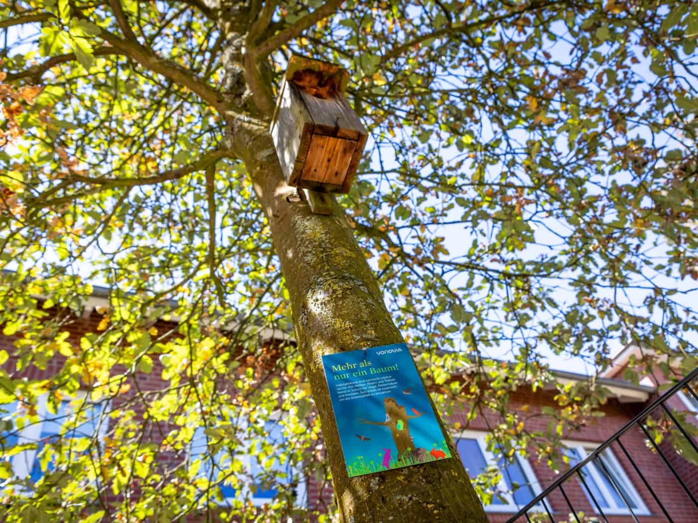 Vonovia schützt Lebensräume im Quartier: Habitatbäume in Osnabrück gekennzeichnet
