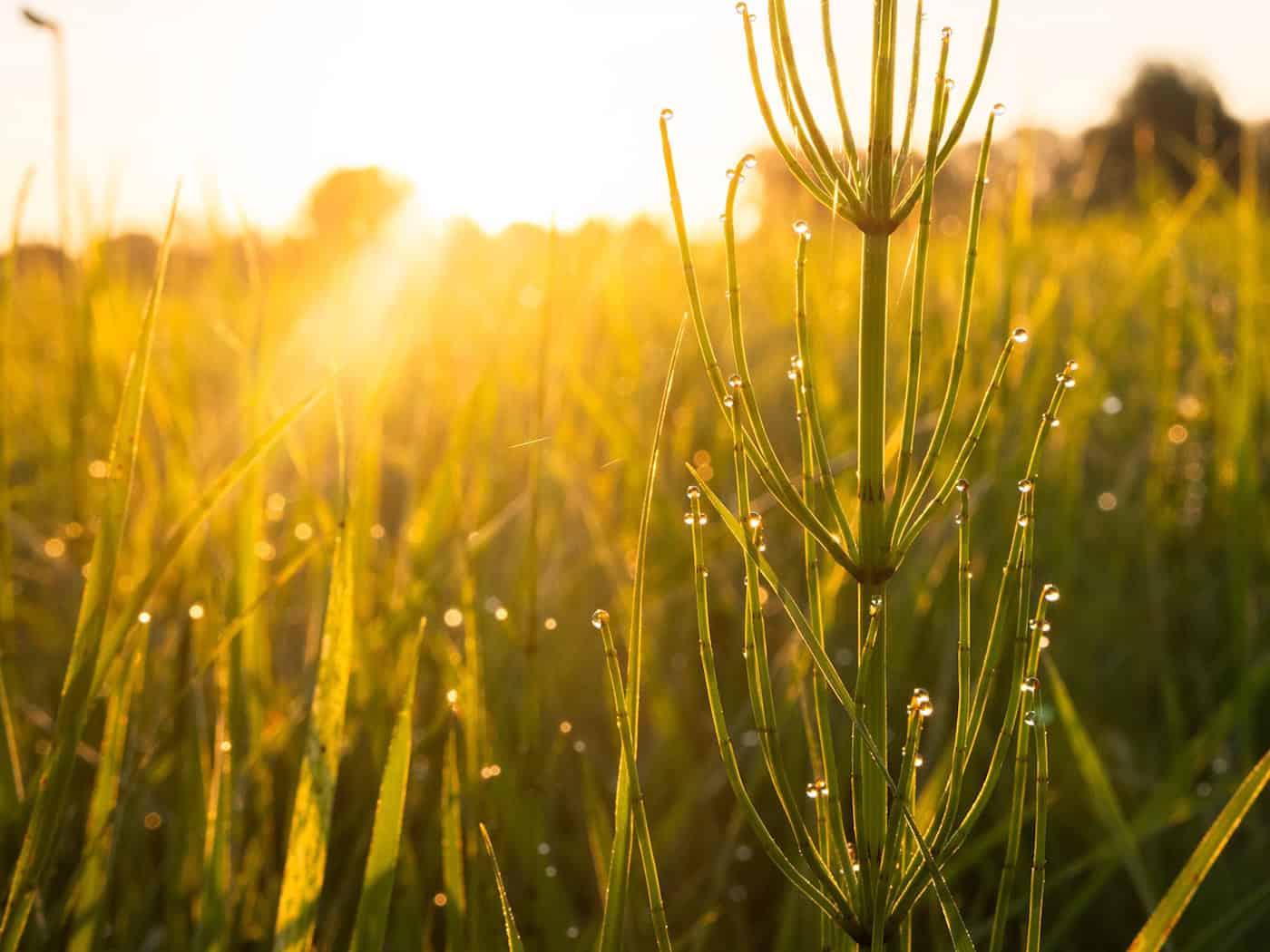 Heißer Tag in Niedersachsen - wann die Temperaturen fallen
