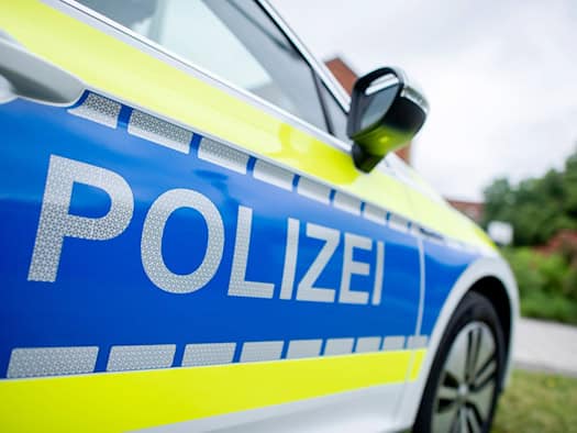 Kater mit Armbrust beschossen? Suche nach einem Täter