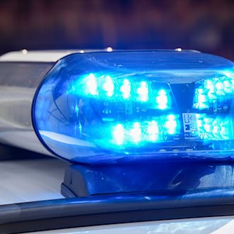 Maulwurf und Marder werden Motorradfahrer zum Verhängnis