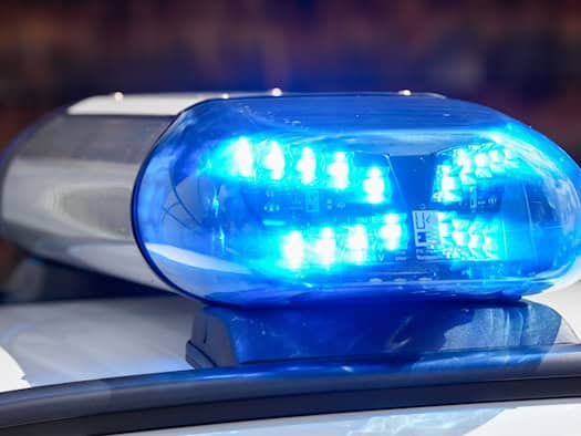 Maulwurf und Marder werden Motorradfahrer zum Verhängnis
