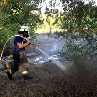 Waldbrand direkt neben Volkshochschule in Lingen