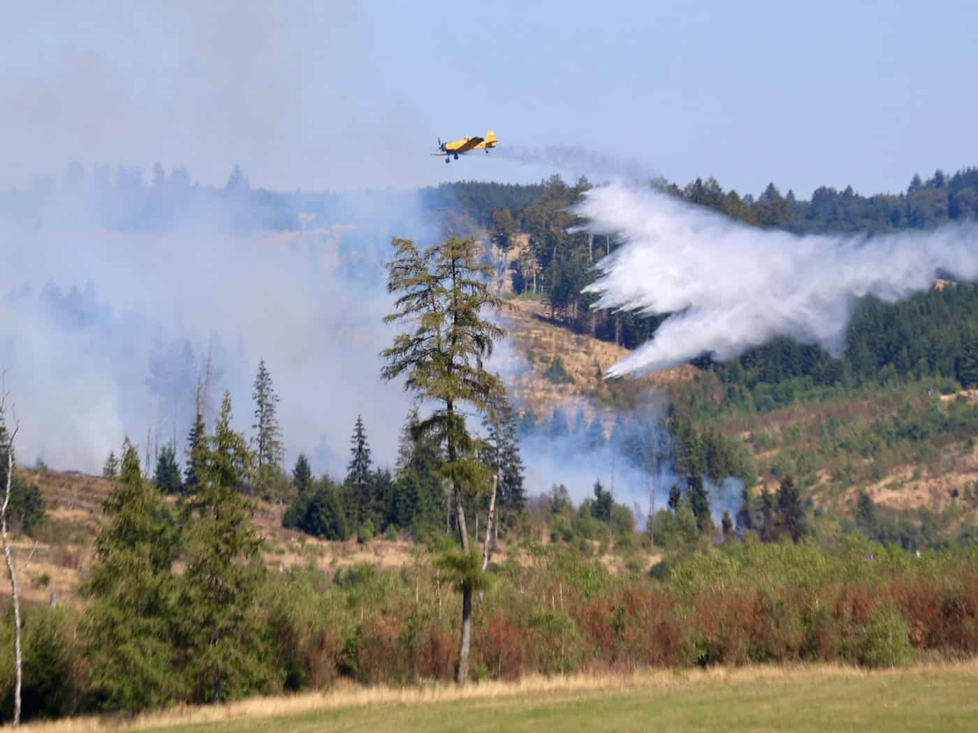 Waldbrand im Harz ist gelöscht