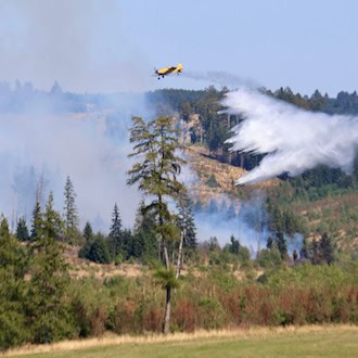 Waldbrand im Harz ist gelöscht