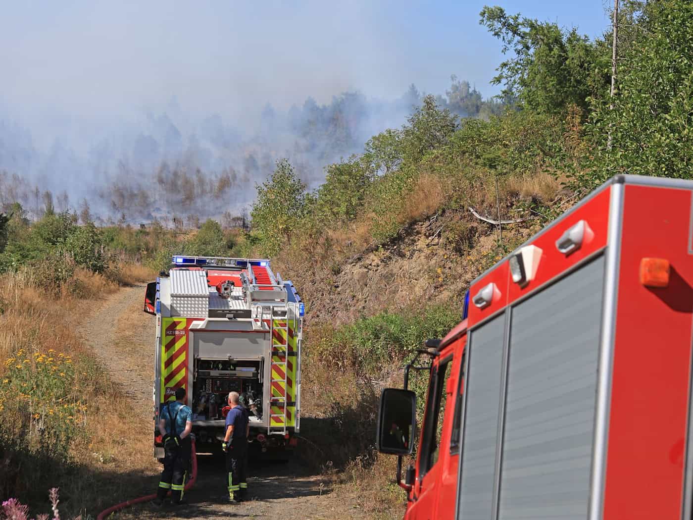 Waldbrand im Harz noch nicht gelöscht