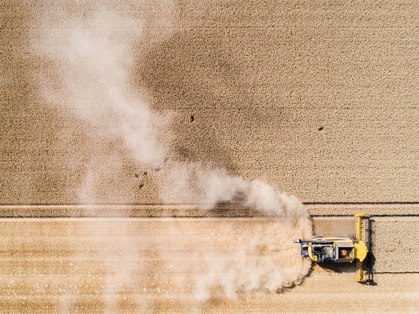 Weniger Winterweizen und Raps – Landwirte kämpfen mit Dürre
