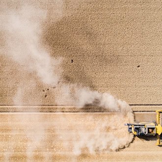 Weniger Winterweizen und Raps – Landwirte kämpfen mit Dürre