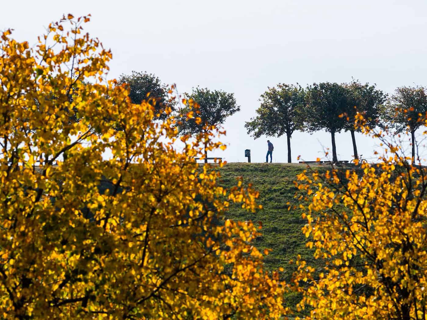 Sonnig und warm – ab Donnerstag Regen in Niedersachsen und Bremen
