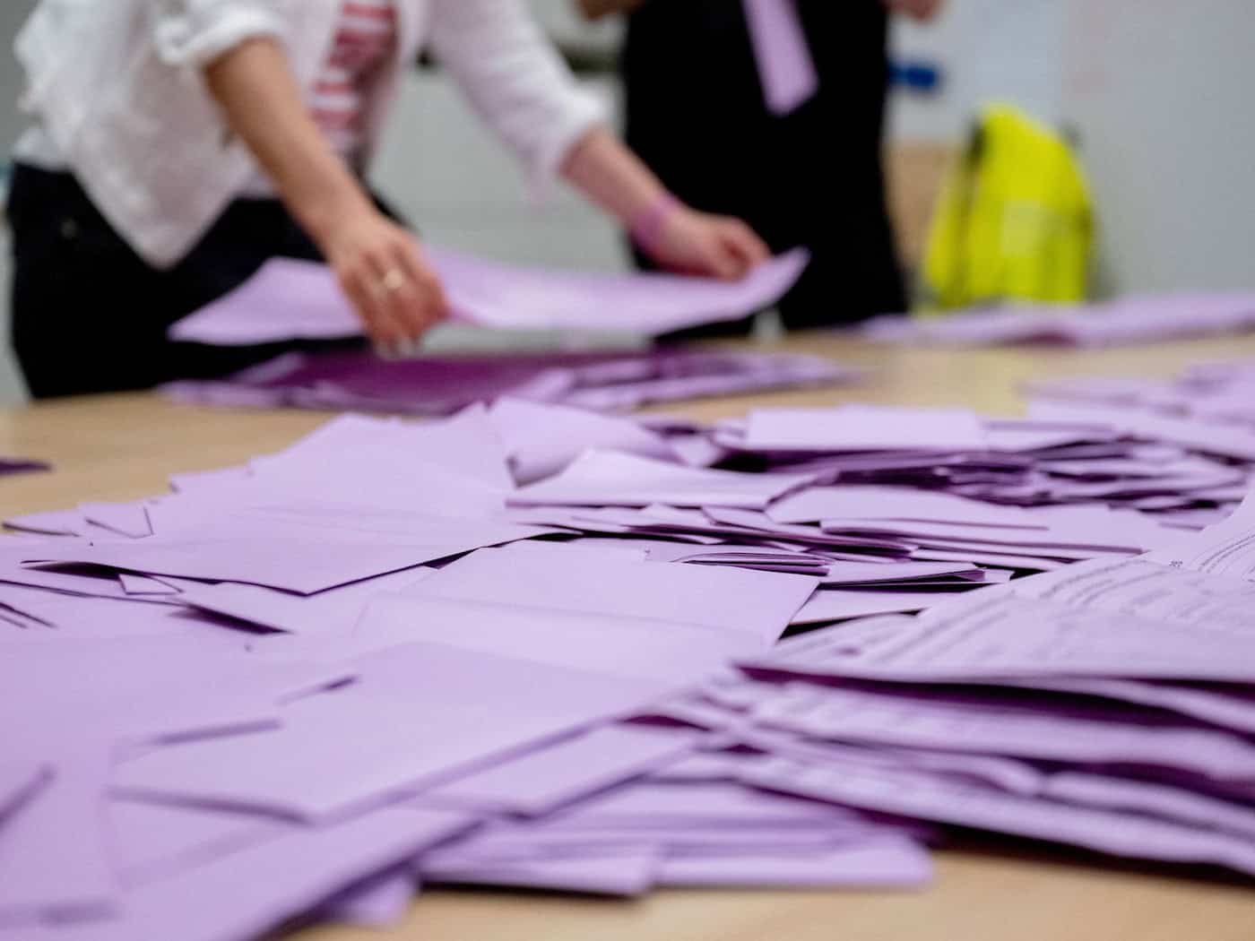 Niedersachsen: AfD legt stark zu – Sitzzahl auf Kreisebene verdreifacht, Gemeinden verfünffacht