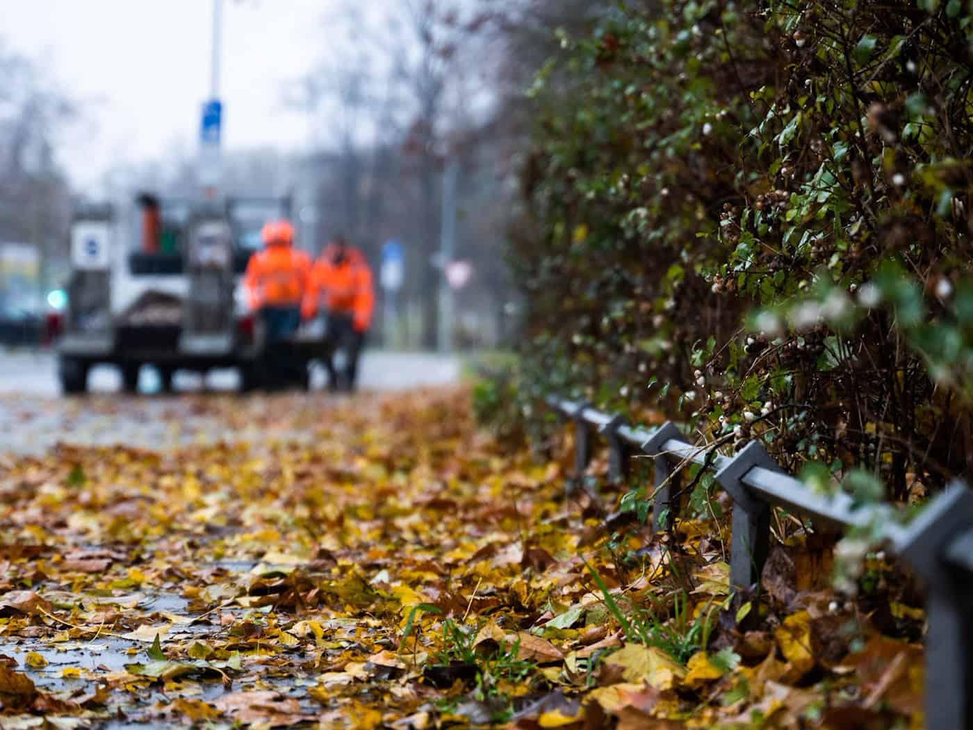 Wechselhaftes Wetter: Regen und Gewitter in Niedersachsen und Bremen