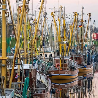 Hohe Treibstoffpreise belasten deutsche Fischerei an Nord- und Ostsee