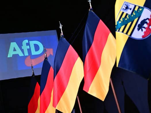 Minister: Schutz bestimmter Geheimdaten vor AfD prüfen