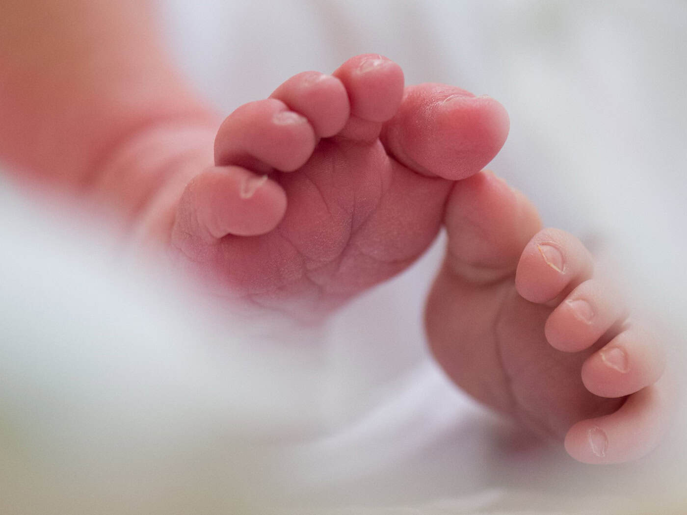 Fatale Fehler einer Hebamme - Prozess um Tod eines Babys