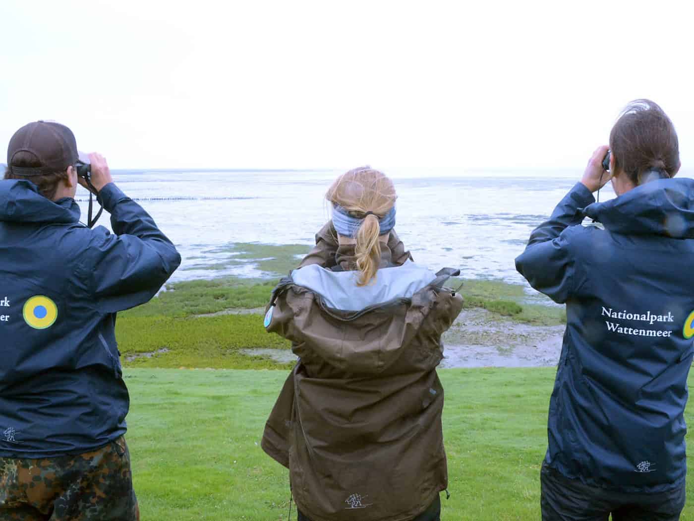 Wachen Nationalpark-Ranger bald auch auf der Nordsee?