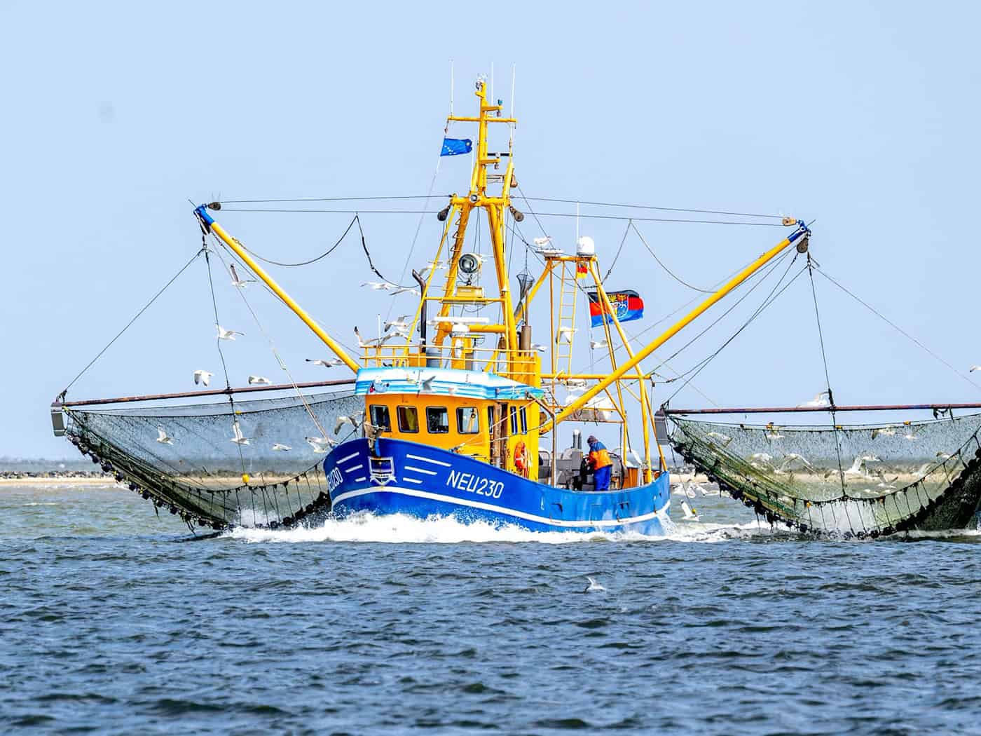 WWF legt Plan mit fischereifreien Zonen für SH vor