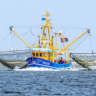 WWF legt Plan mit fischereifreien Zonen für SH vor