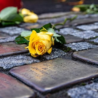 Eingelagerte Stolpersteine in Lüneburg gestohlen