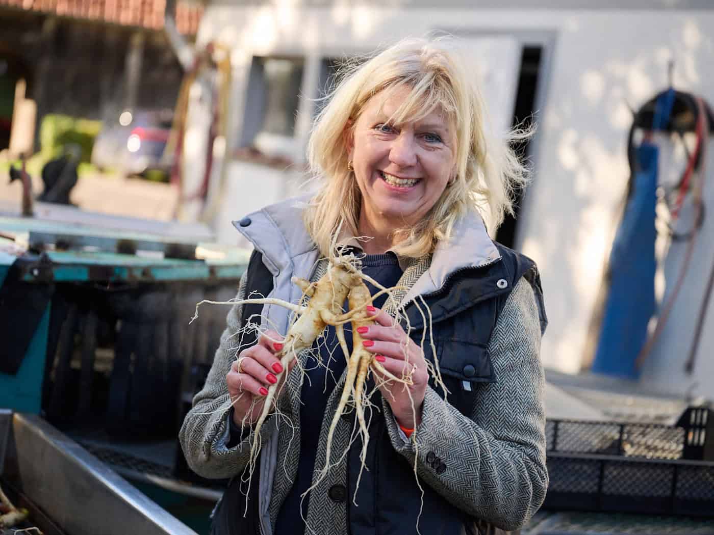 Ginseng aus der Heide - Ernte der exotischen Wurzeln