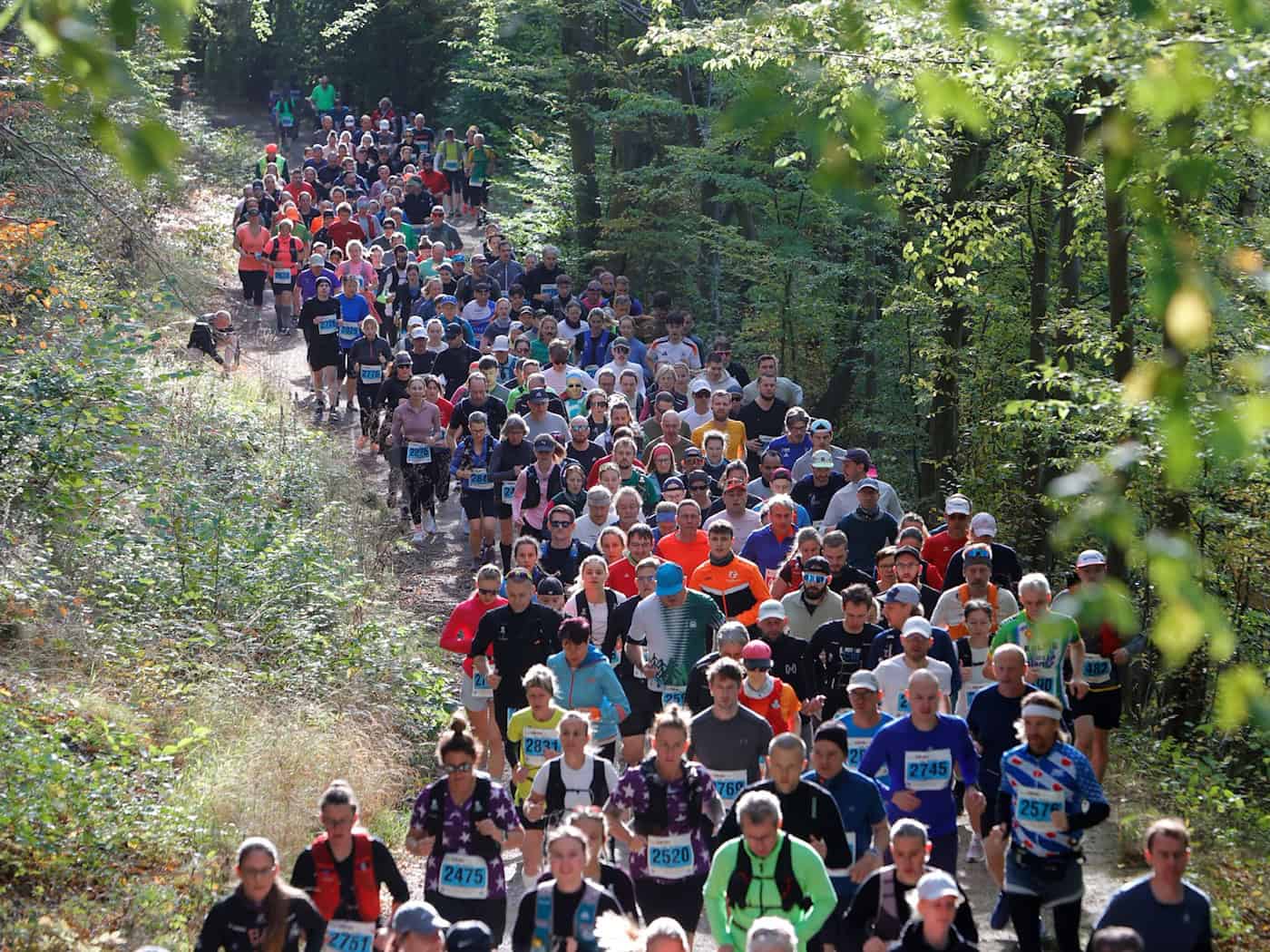 Knapp 4.000 Läufer starten beim Harz-Gebirgslauf