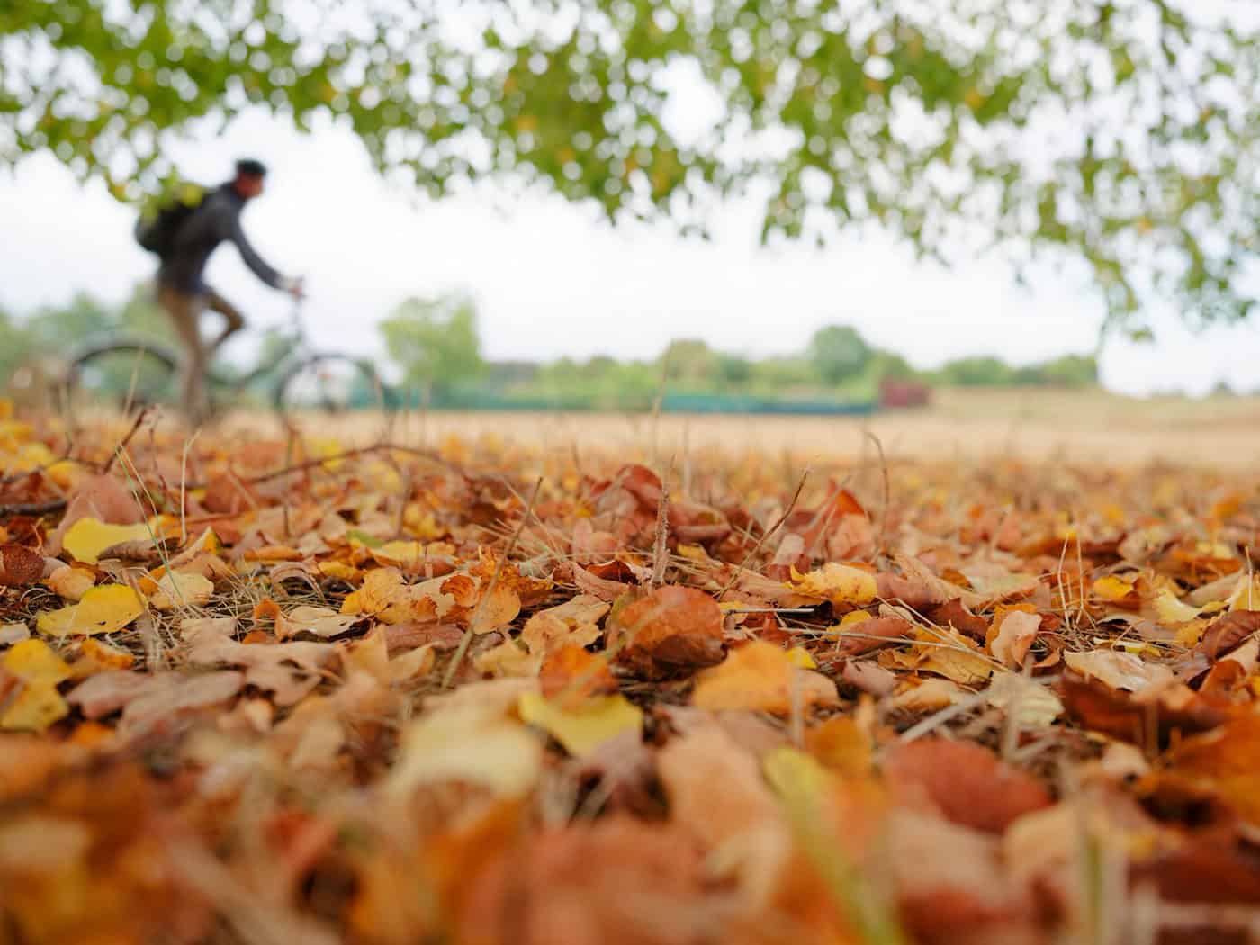 Wetter: Nach Stürmen freundlicher Wochenstart in Niedersachsen und Bremen