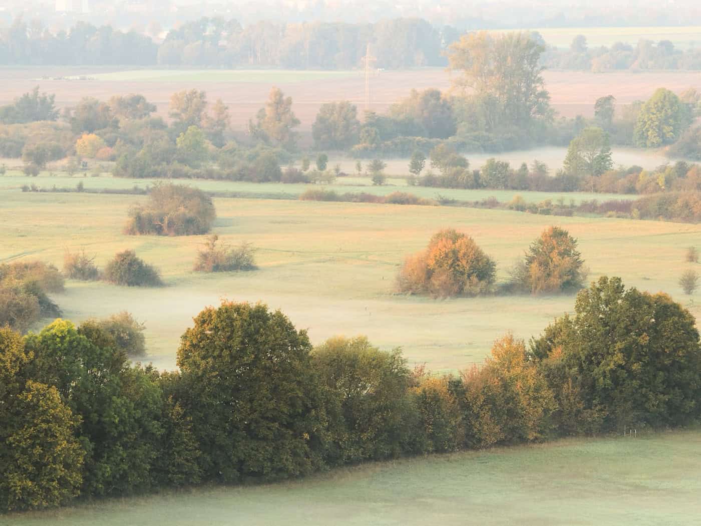 Nebel und Wind: Wechselhaftes Wetter in Niedersachsen und Bremen