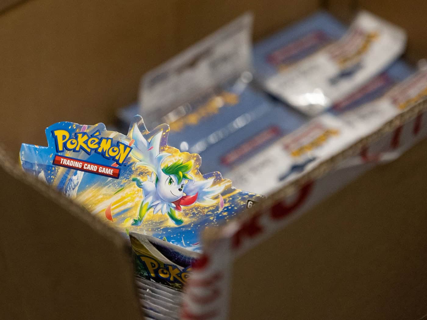 Pokémon-Karten im Wert von rund 35.000 Euro gestohlen