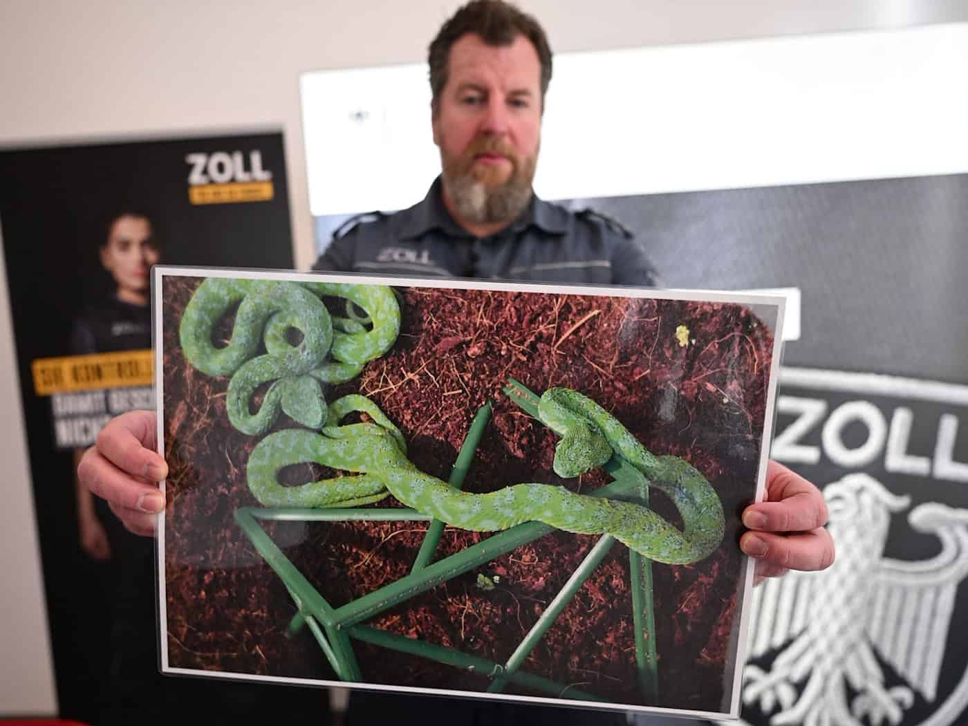 Flughafen Köln/Bonn: Zoll entdeckt mehr als 90 exotische Tiere in Koffer