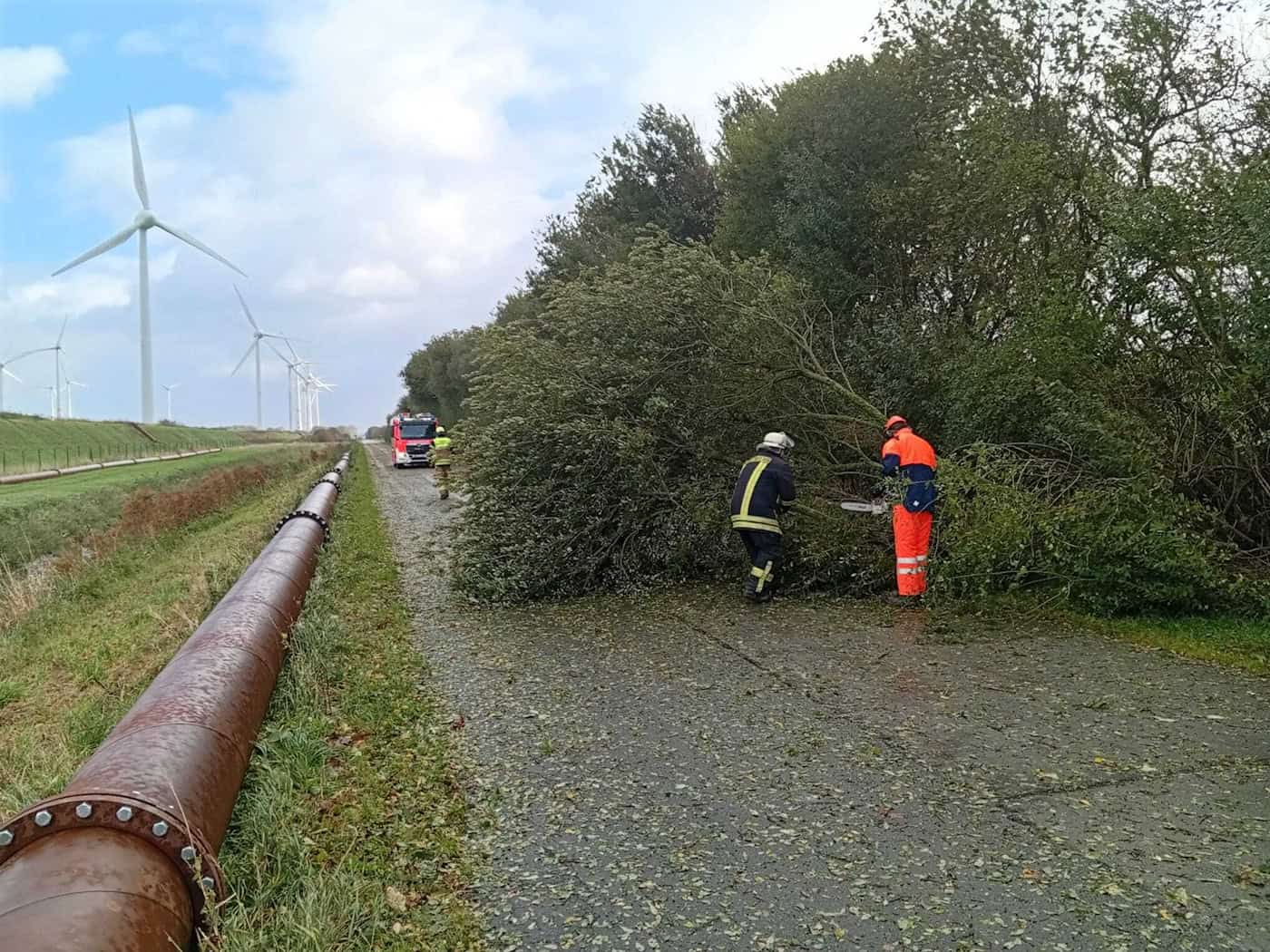 Sturmtief am Ende der Herbstferien sorgt in Niedersachsen und Bremen für umgestürzte Bäume und Fährausfälle