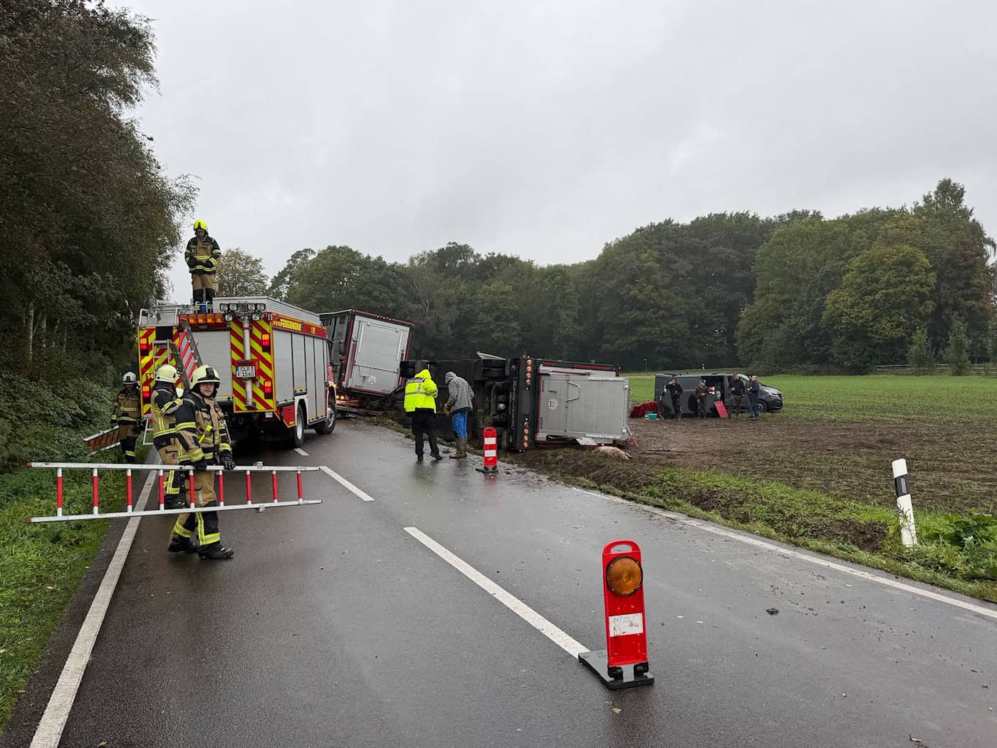 Tiertransporter kippt um: mehrere tote Schweine