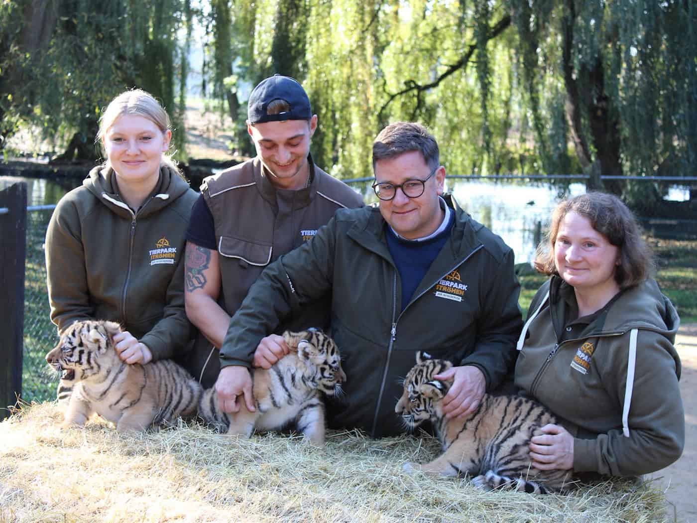 Drei Amur-Tiger im Tierpark Ströhen nach erster Untersuchung wohlauf