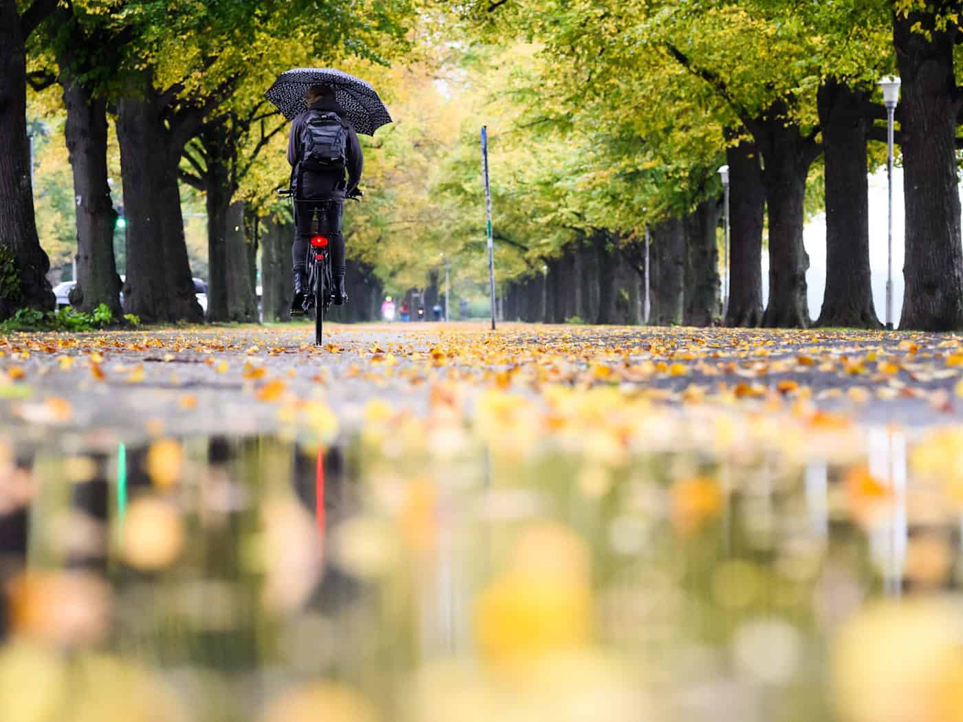 Unbeständiges Wetter in Niedersachsen und Bremen erwartet