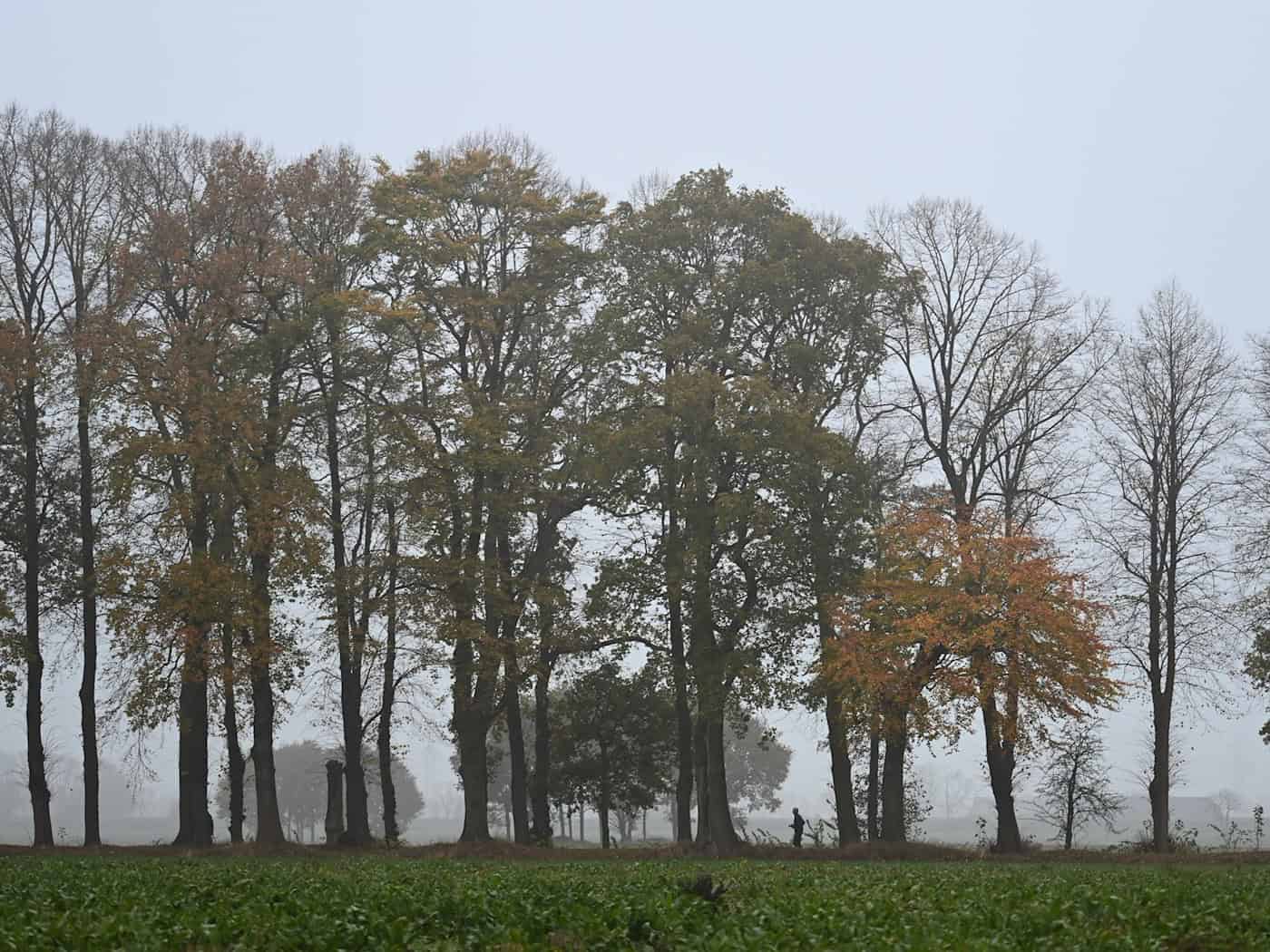 Wetterumschwung am Freitag? Regen und Böen drohen