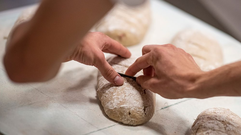 Ein Bäckergeselle arbeitet in Berlin an einem Brot. / Foto: Fabian Sommer/dpa/Archivbild