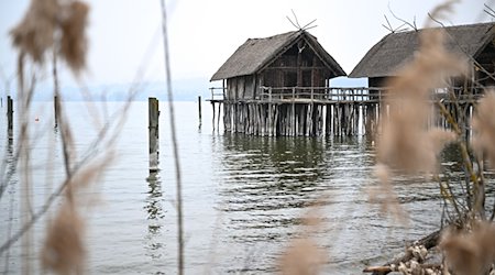 Nebel liegt über dem Bodensee und rund um das Pfahlbaumuseum Unteruhldingen. / Foto: Felix Kästle/dpa