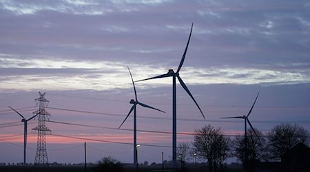 Windräder und Stromleitungen sind im Abendlicht zu sehen. / Foto: Marcus Brandt/dpa/Symbolbild