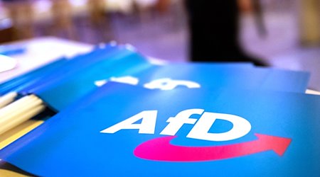 Fähnchen mit dem Logo der AfD liegen auf einem Tisch. / Foto: Daniel Karmann/dpa/Symbolbild