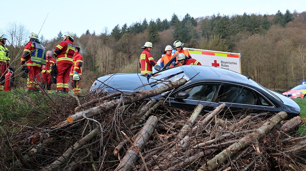 Bei einem Verkehrsunfall in Elsenfeld-Rück hat ein Baumstamm die Windschutzscheibe eines Autos durchbohrt und den Fahrer schwer verletzt. / Foto: Ralf Hettler/Ralf /dpa