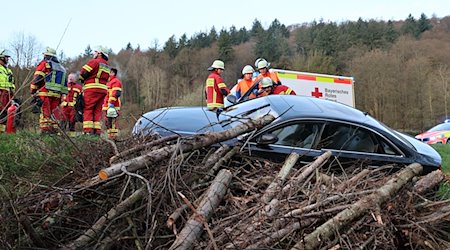 Bei einem Verkehrsunfall in Elsenfeld-Rück hat ein Baumstamm die Windschutzscheibe eines Autos durchbohrt und den Fahrer schwer verletzt. / Foto: Ralf Hettler/Ralf /dpa