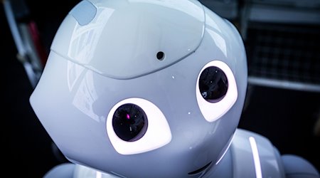 Der Pepper-Roboter der Firma Aldebaran Robotics wurde von Rostocker Wissenschaftlern für die Betreuung von Schlaganfallpatienten programmiert. / Foto: Jens Büttner/dpa