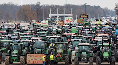 Zahlreiche Traktoren stehen während einer Kundgebung auf dem Volksfestplatz. / Foto: Daniel Karmann/dpa