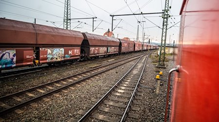 Ein Güterzug steht an einem Bahnhof. / Foto: Christoph Schmidt/dpa