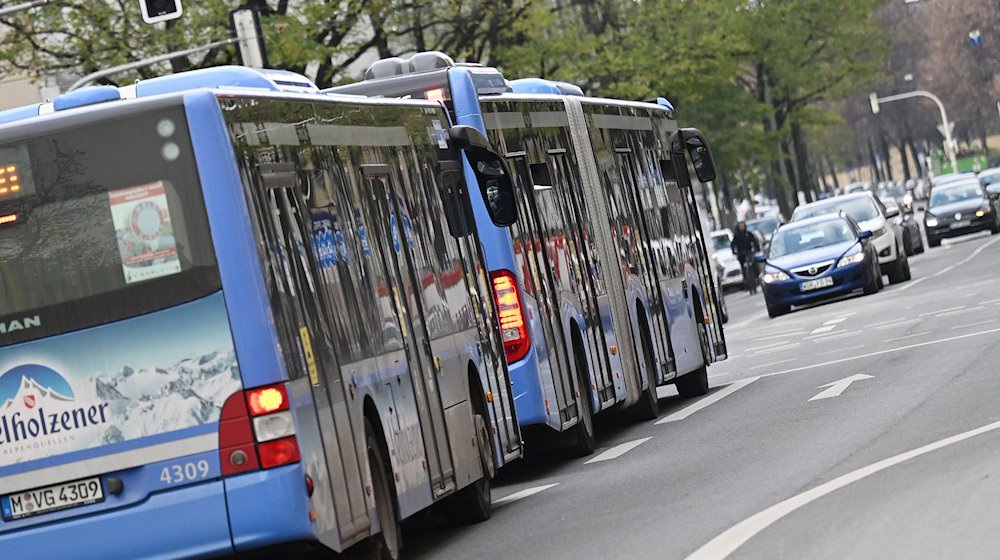 Stadtbusse der Münchner Verkehrsgesellschaft fahren im Stadtgebiet. / Foto: Angelika Warmuth/dpa