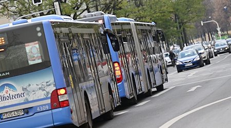 Stadtbusse der Münchner Verkehrsgesellschaft fahren im Stadtgebiet. / Foto: Angelika Warmuth/dpa