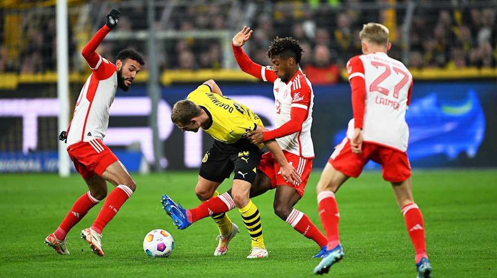 Dortmunds Julian Ryerson (2.v.l) in Aktion gegen Münchens Spieler Noussair Mazraoui (l-r), Kingsley Coman und Konrad Laimer. / Foto: Federico Gambarini/dpa