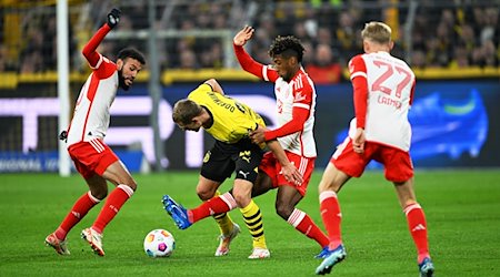 Dortmunds Julian Ryerson (2.v.l) in Aktion gegen Münchens Spieler Noussair Mazraoui (l-r), Kingsley Coman und Konrad Laimer. / Foto: Federico Gambarini/dpa