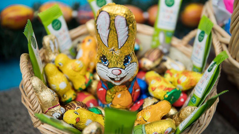 Ein Osternest mit Schokohase und Schokoküken. / Foto: Daniel Karmann/dpa