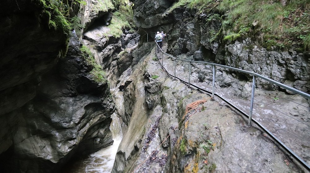 Besucher gehen durch die Starzlachklamm. / Foto: Davor Knappmeyer/dpa