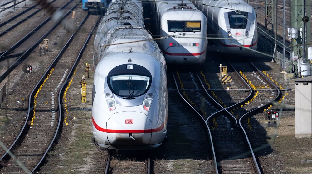 Züge stehen auf den Gleisen in der Nähe des Hauptbahnhofs. / Foto: Sven Hoppe/dpa