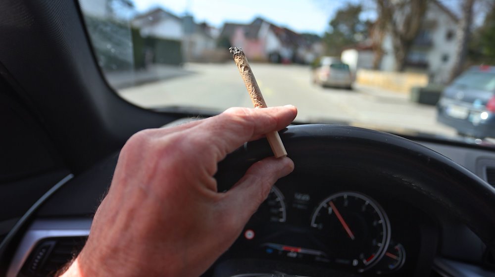 Justizminister Eisenreich warnt vor Cannabis am Steuer